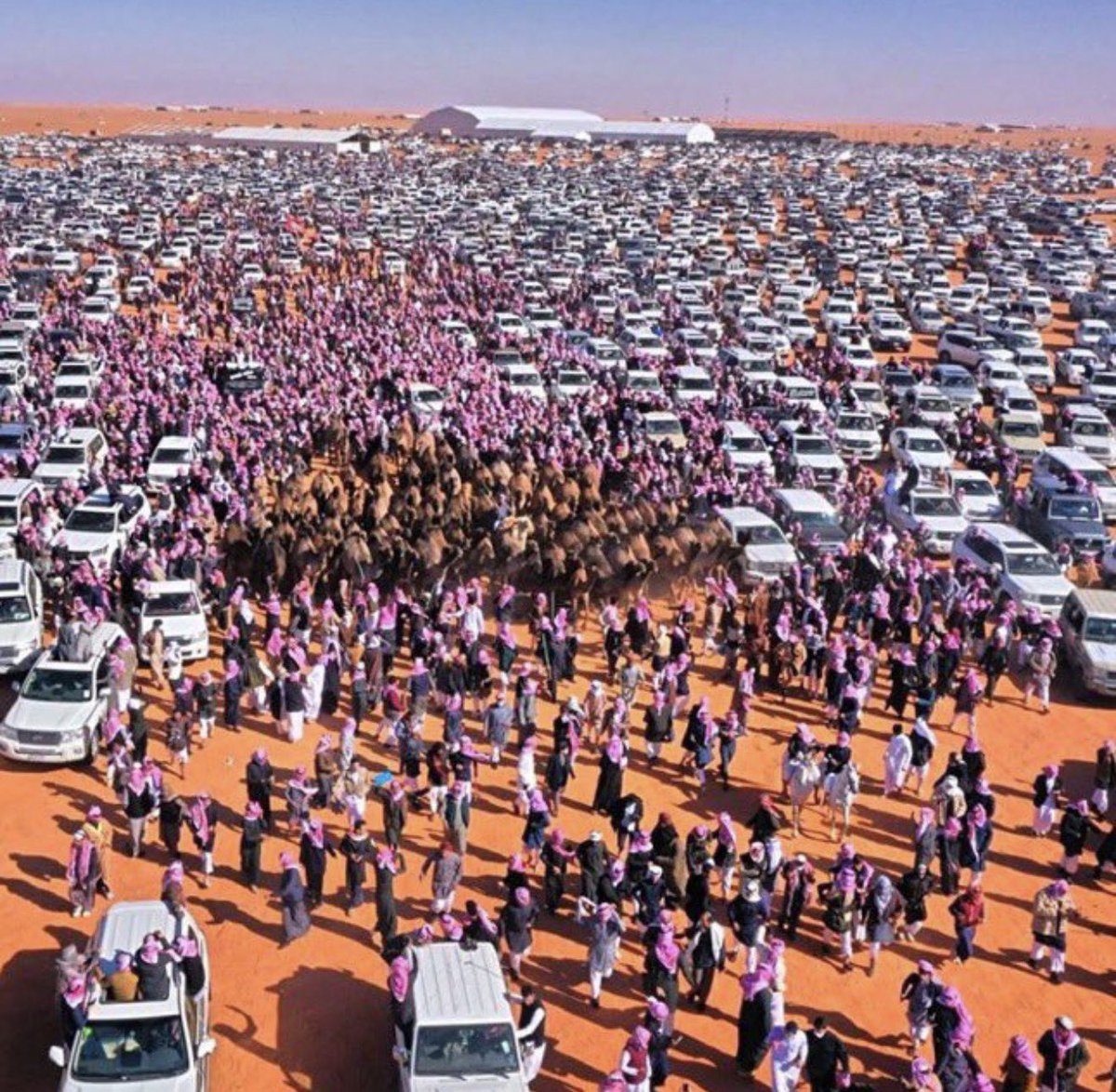 فهد الروقي , tweet media
