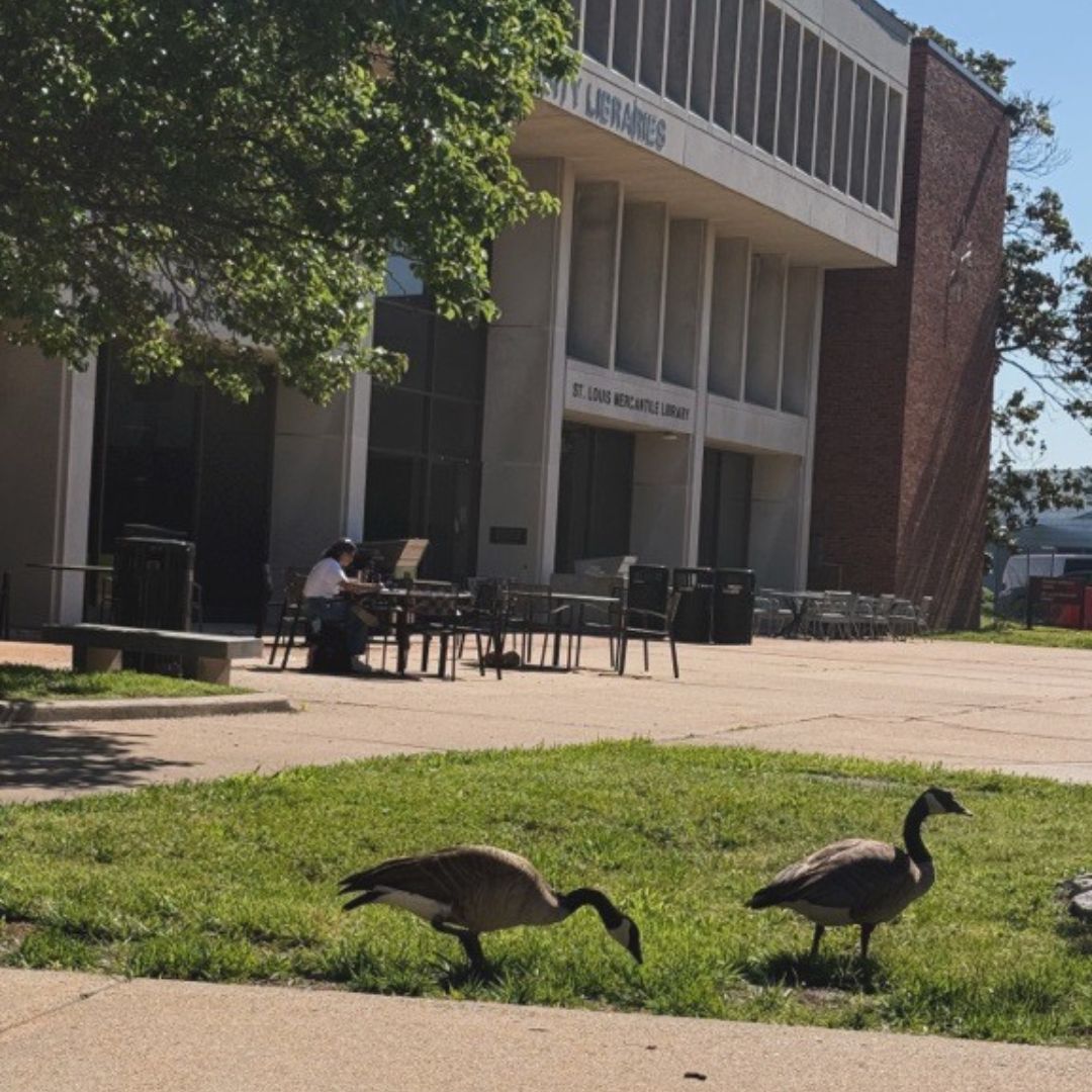 UMSL Libraries tweet media