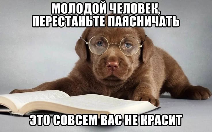 Январский инцидент tweet media