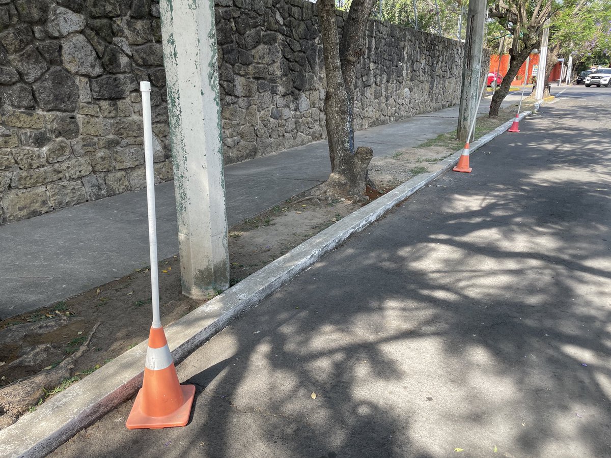 Arqui blandengue tweet media