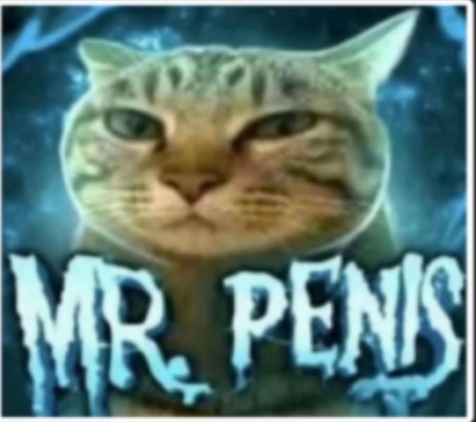 FIDDLESTICK tweet media