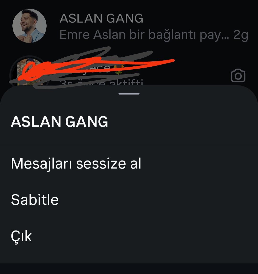 esra tweet media