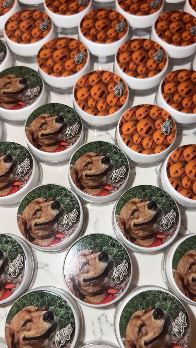 sendinghashintl's tweet photo. 🐕 🐕  FP Vibes https://t.co/HelnjK4qgD
