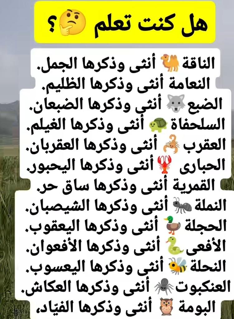 BBPP3M's tweet photo. هل كنت تعلم؟ https://t.co/W96nLZGh5N