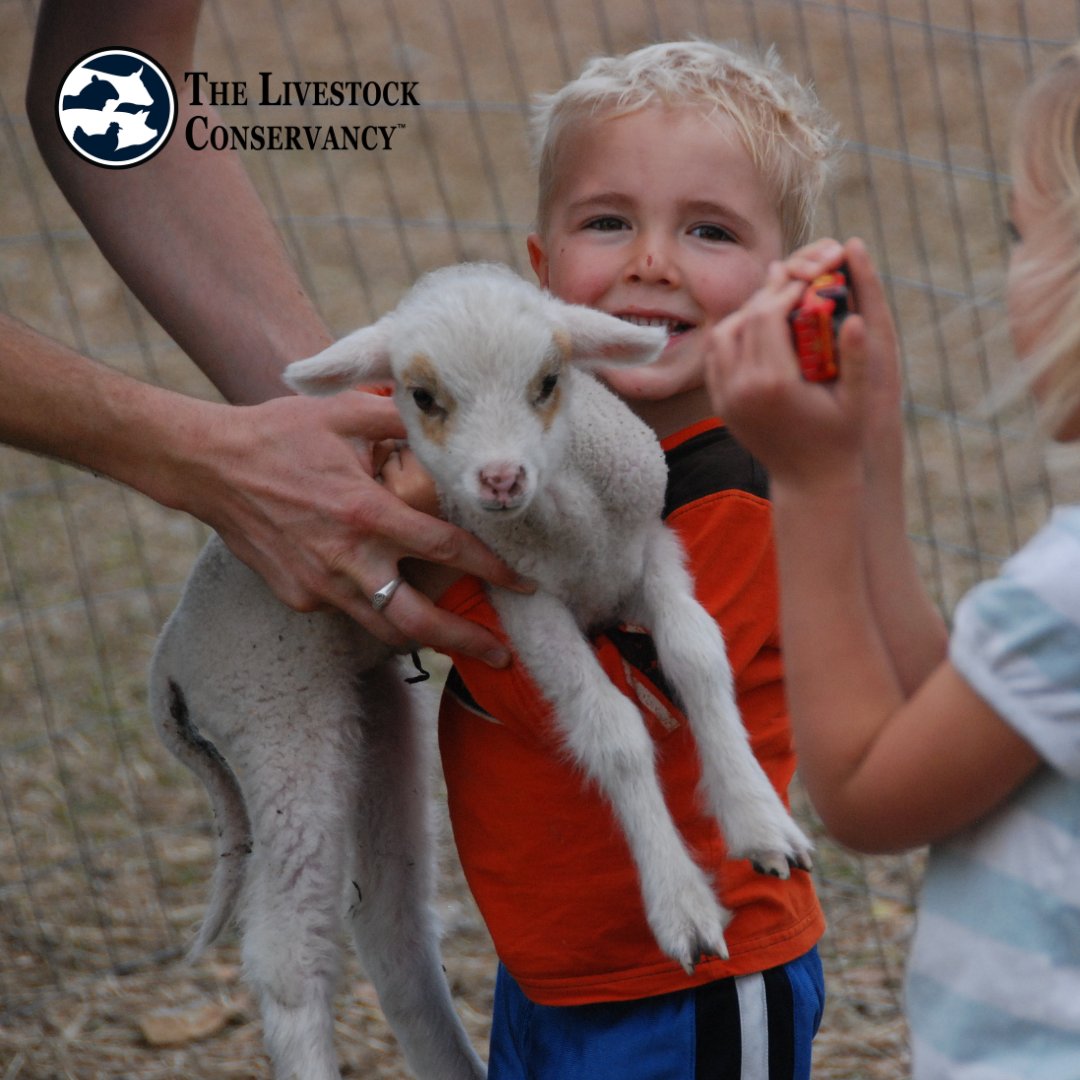 LConservancy's tweet photo. Before International Heritage Breeds Month comes to a close, we want to celebrate the next generation of heritage breed stewards.

Share a photo of a young person with their favorite heritage breed and tell us what makes that breed special to them. https://t.co/BDm8yHH2WY