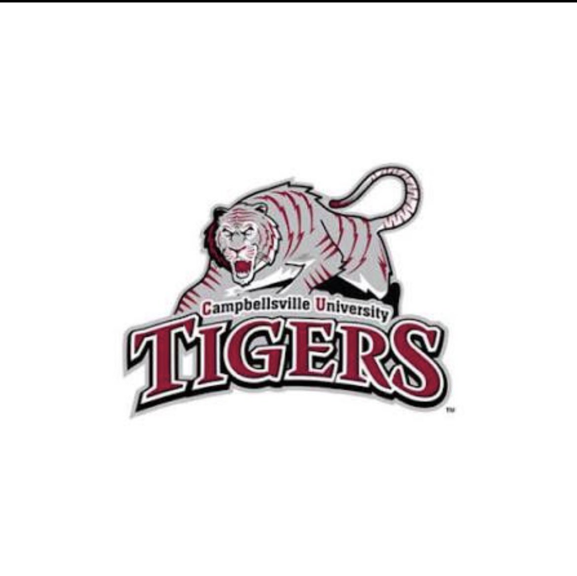 EthanGuillory71's tweet photo. After a great phone call with @Coach_JoFo I am blessed to receive another offer from @CvilleTigersFB !!! #agtg 

@corylaxen @coachCoutten @CoachLewis74 @COACHPATROB @CoachClaySims @CEKing_Football https://t.co/moM1Mt2CjJ