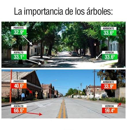 Sebastián Gómez tweet media