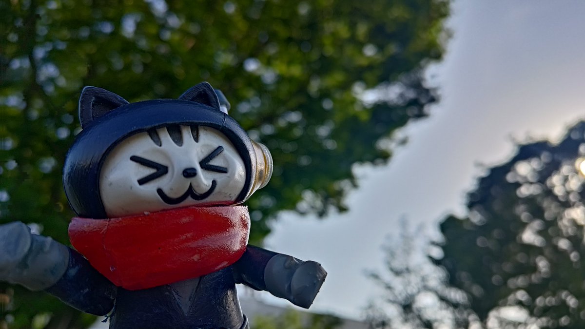 おはようにゃん😺 5月12日、火曜日、晴れにゃ☀️でも昼頃から大気が不