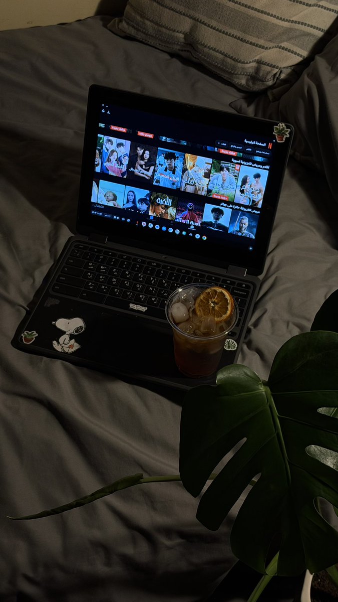 4ajg1's tweet photo. 🔖🛋️⭐️🫧🌱 https://t.co/NhAhs9Zk2D