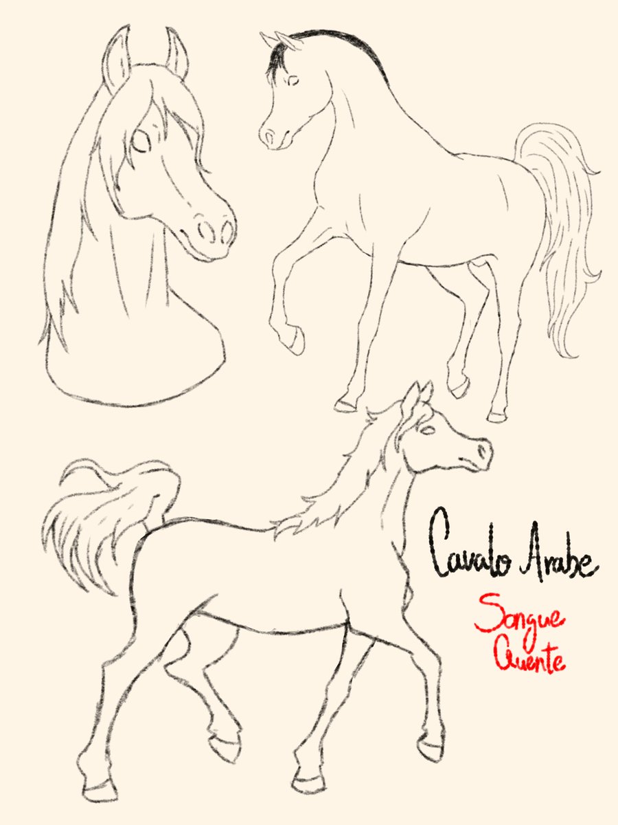 TenkoMoony's tweet photo. Uns sketch meio velhinhos de estudo de equinos 

#sketch #digitalart #ibispaint https://t.co/mjkC5OQ209