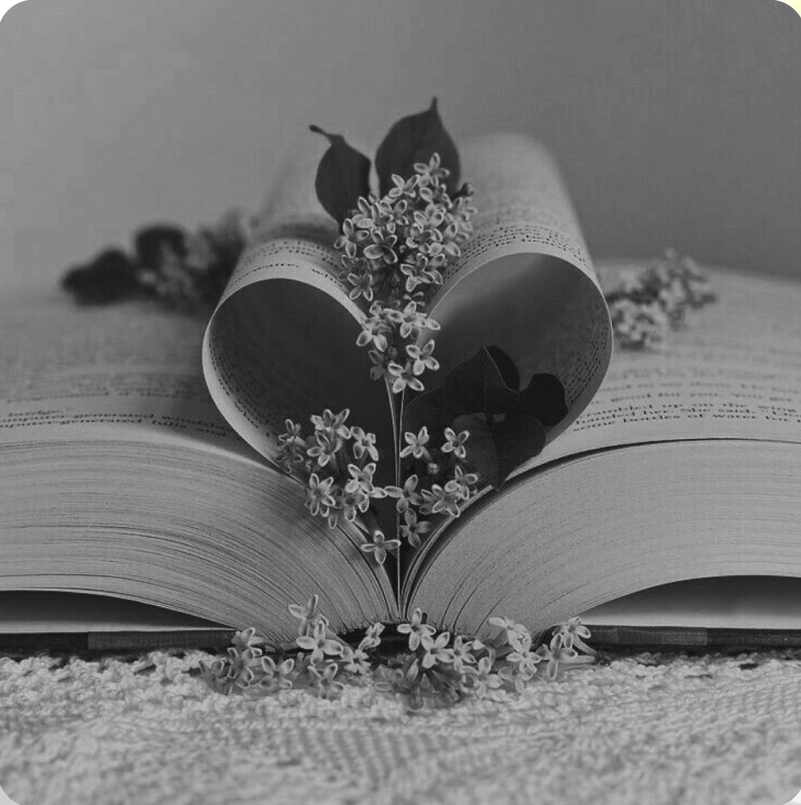 نور °❀⋆.ೃ࿔ tweet media