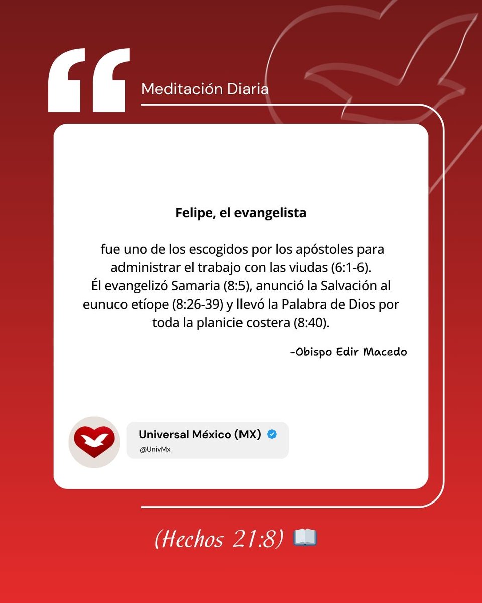 Universal México tweet media