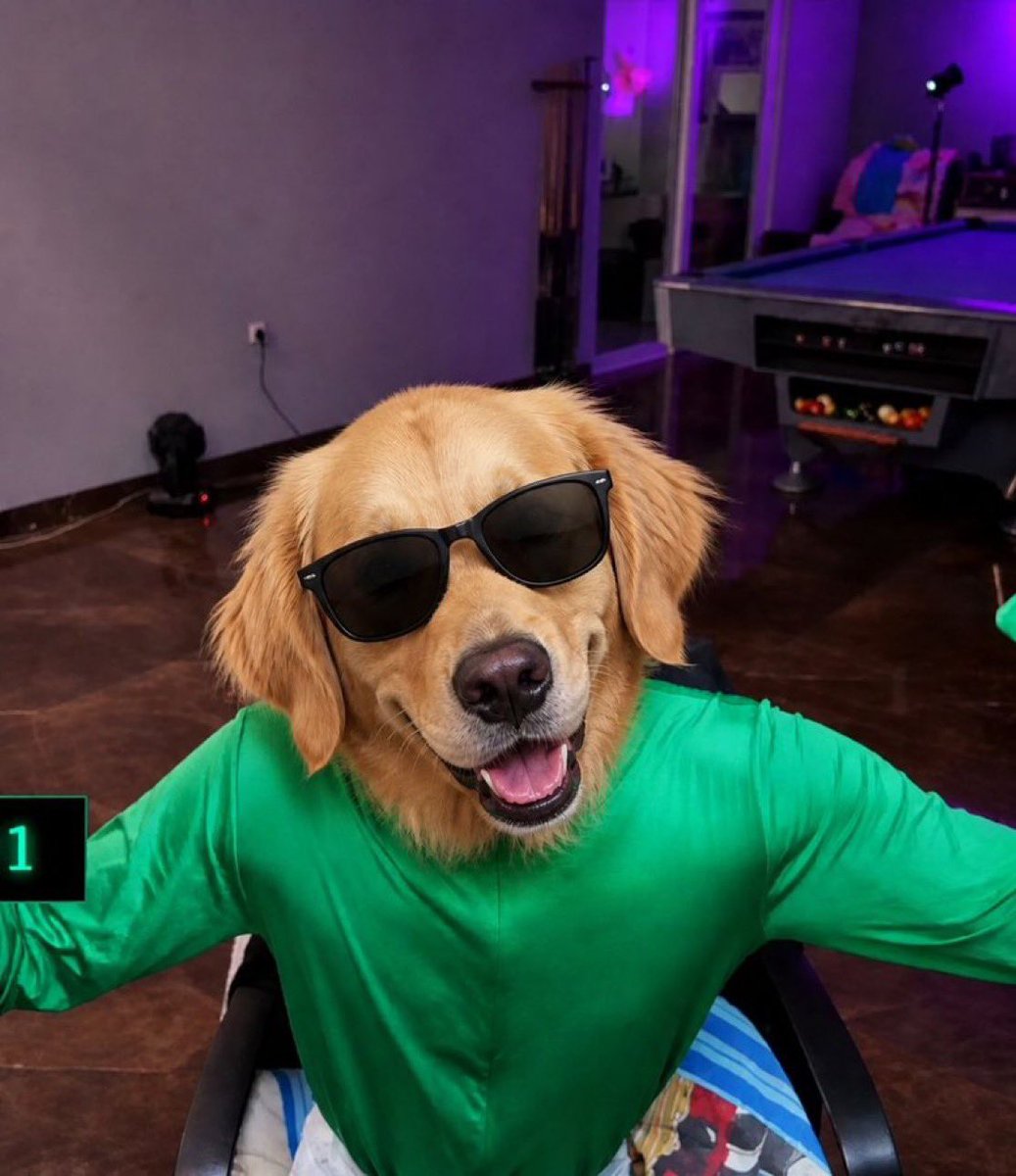 Kenny 🧑💻($DOG ARC) tweet media