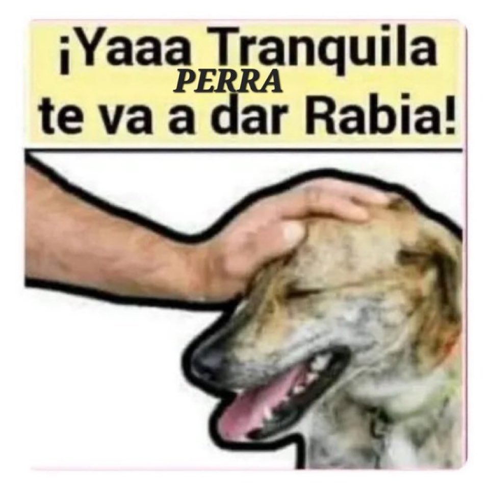 Balubi tweet media