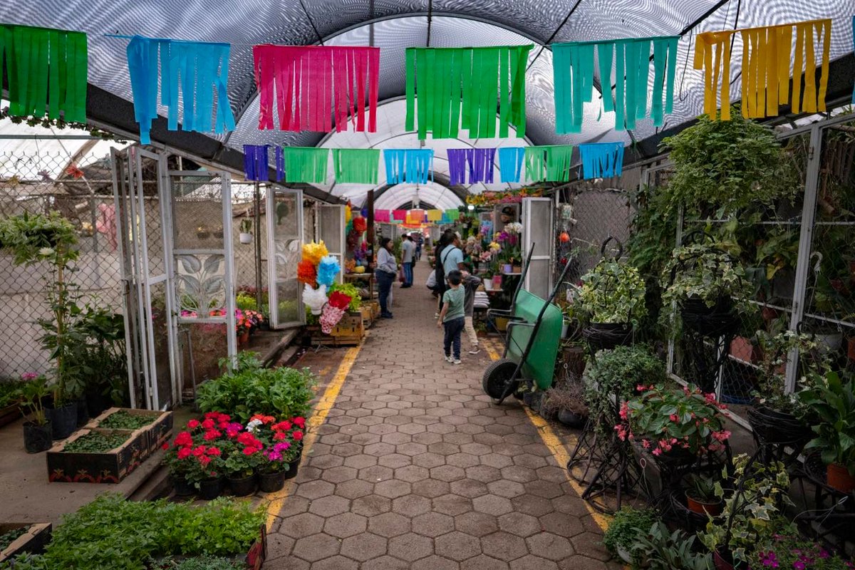 Secretaría de Turismo de la Ciudad de México tweet media