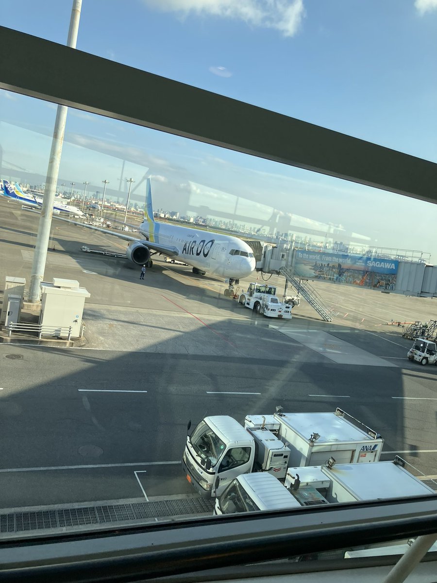 ｻﾖﾅﾗﾄｰｷｮｰ