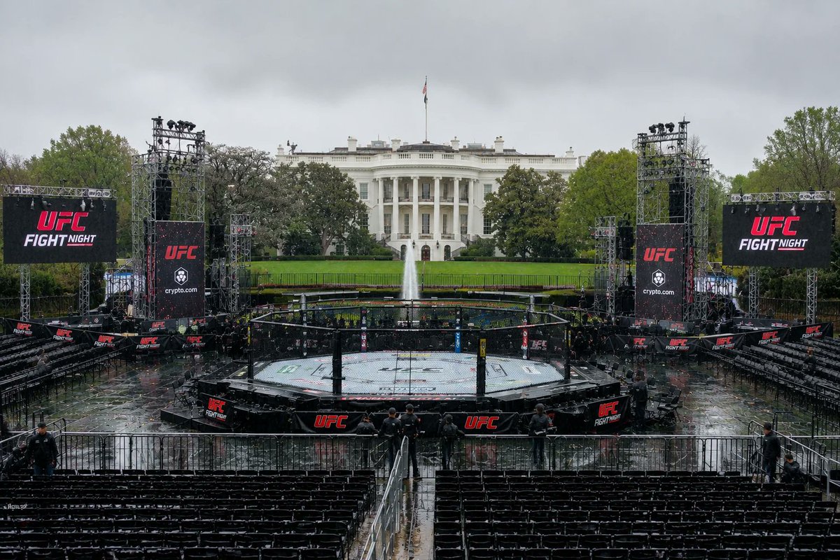 The Fight Fanatic tweet media