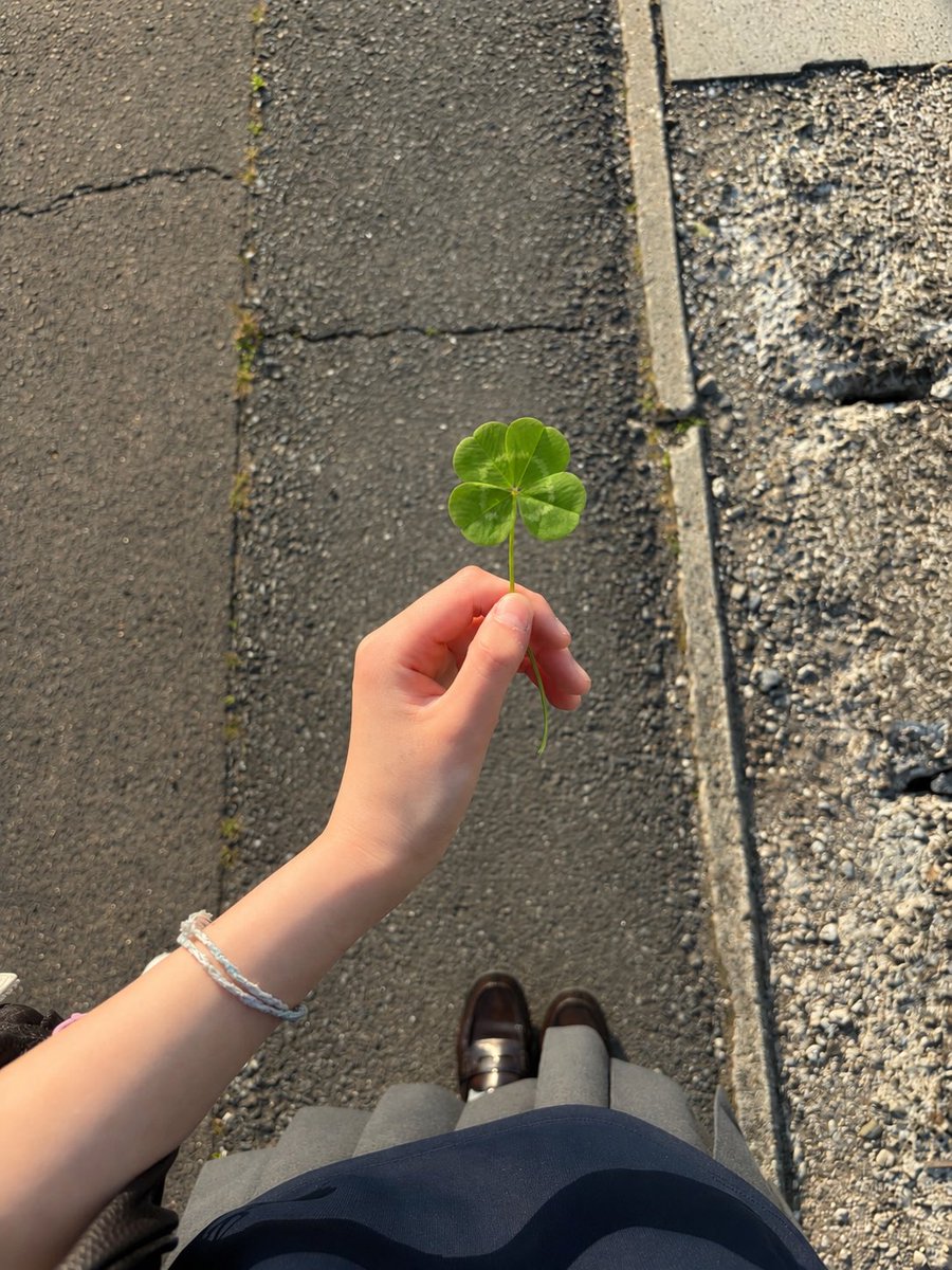 8oxyl's tweet photo. みんなにいい事ありますよーに*.+ﾟ https://t.co/9hqThRdYBz