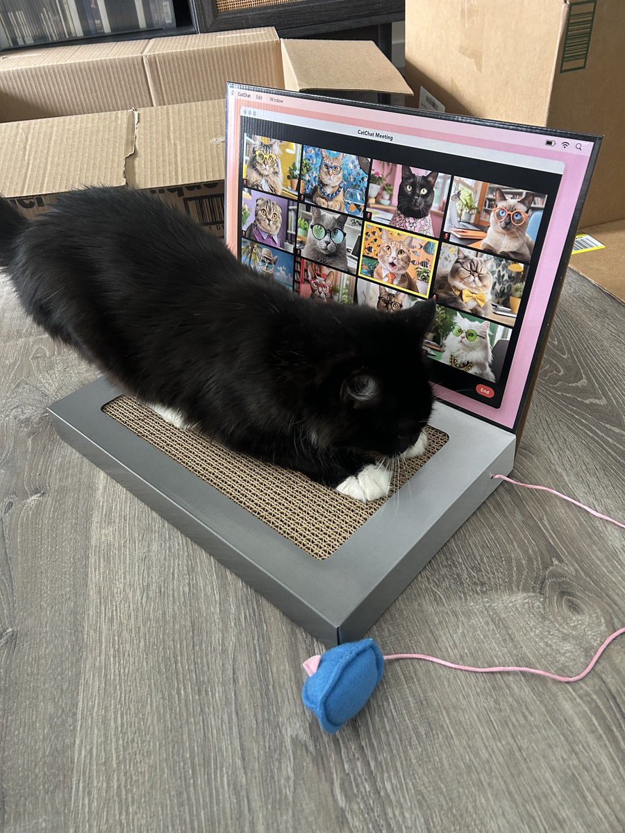 月岡祐介 心臓外科 tweet media