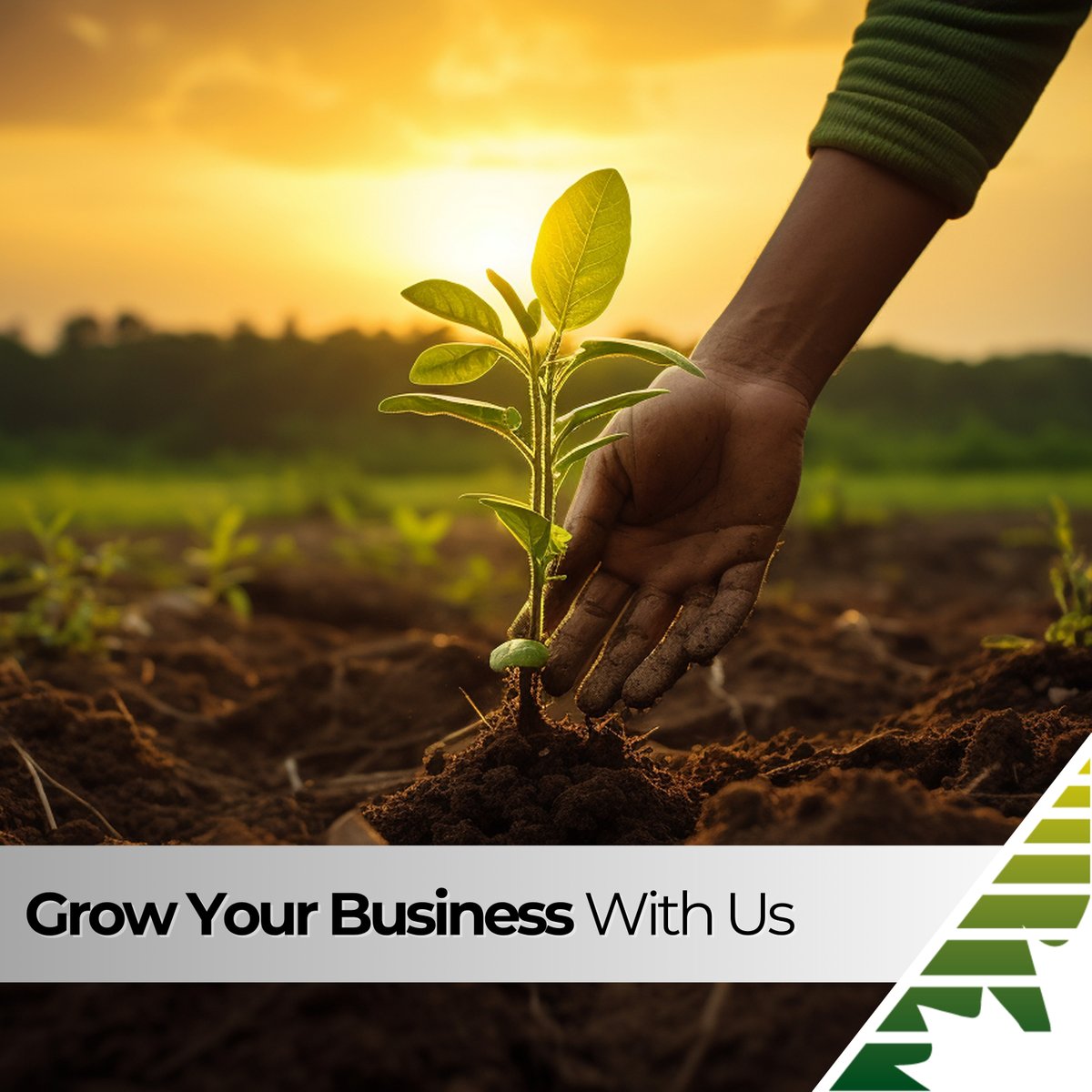CFMiddlesex's tweet photo. Spring isn’t just for gardens, your business can grow too. Let’s make it happen. 

#CommunityFutures

Le printemps, c’est pas juste pour les jardins — votre entreprise peut aussi prendre de l’expansion. Faisons-le ensemble. 

#GrandissezAvecNous #Développementdescollectivités https://t.co/pvlSWnZAGM