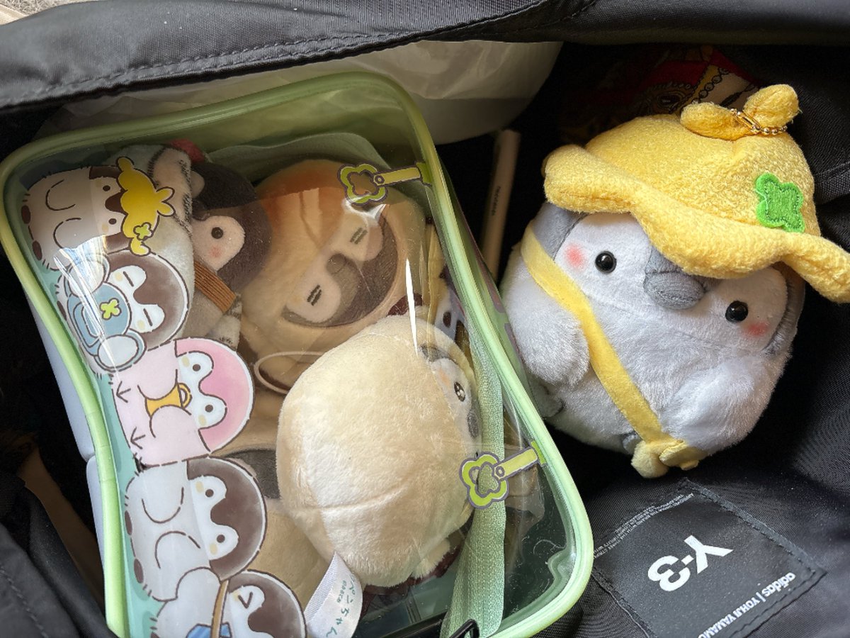 おうちに帰ろう〜🐧🍀