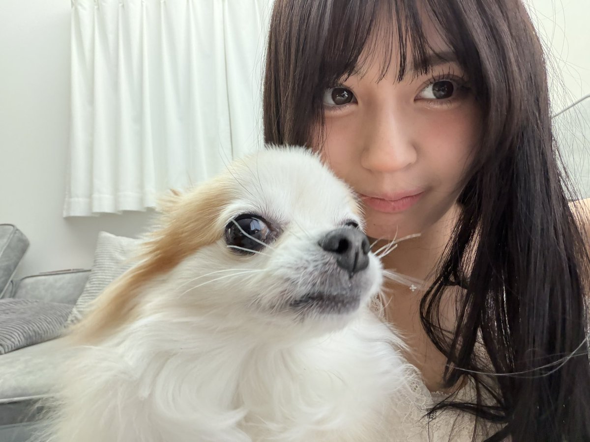 天沢なな tweet media