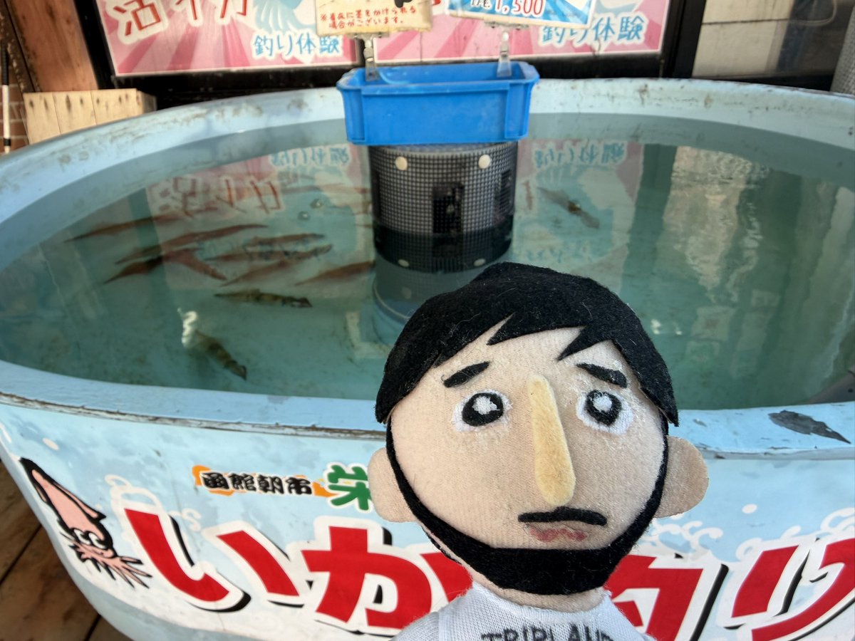 かな tweet media
