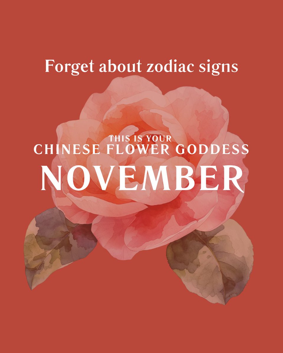 Go2Chinese's tweet photo. Forget zodiac signs. 
If you were born in November, your Chinese Flower Goddess is the Camellia — 山茶花 (shāncháhuā).
#ChineseCulture #Camellia #FlowerGoddess #NovemberAesthetic #AsianAesthetic #ChineseMythology #QuietLove #山茶花 #东方美学 #ElegantEnergy https://t.co/VpgM0vD9V7
