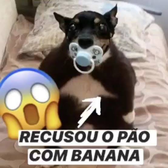 daniIo tweet media