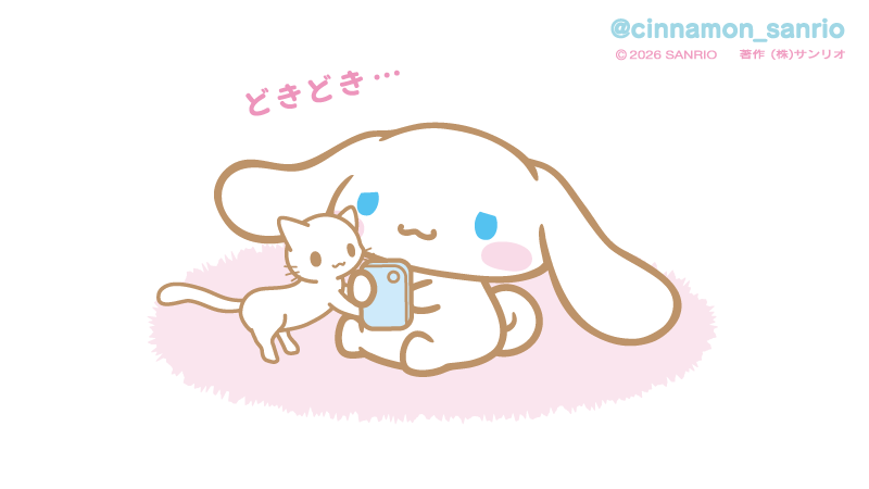 シナモン【公式】 tweet media