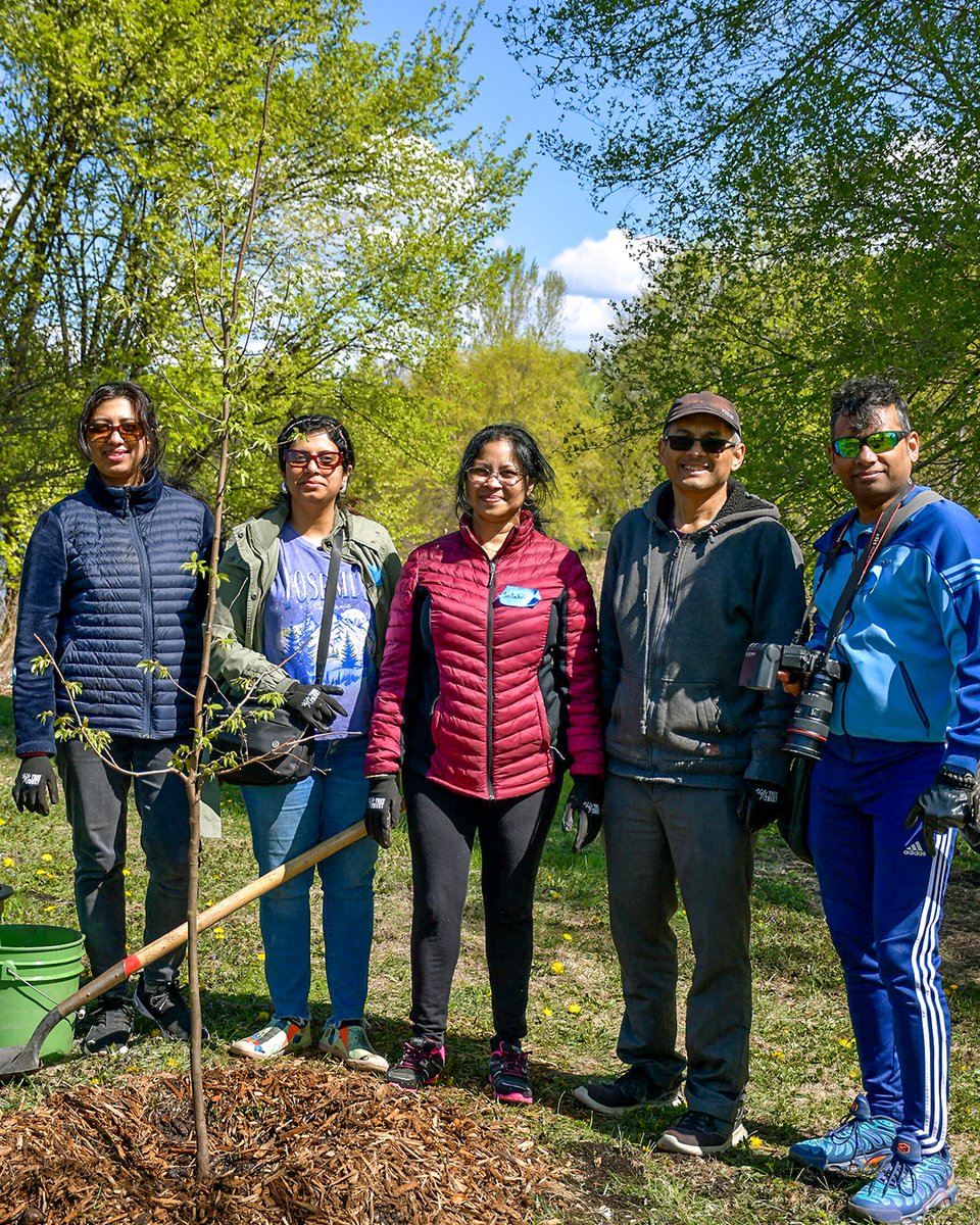 Tree Trust tweet media