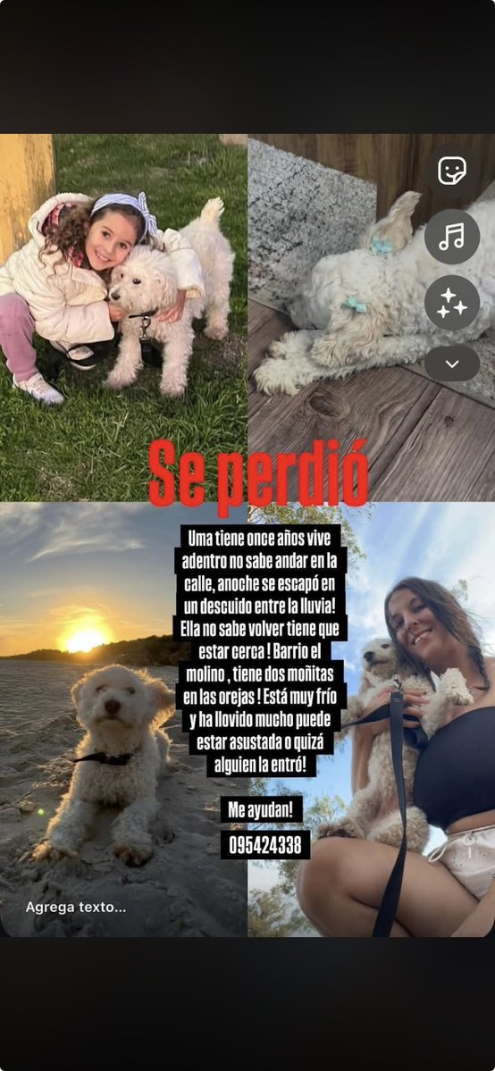 Adriana (@adriana43587622) on Twitter photo 