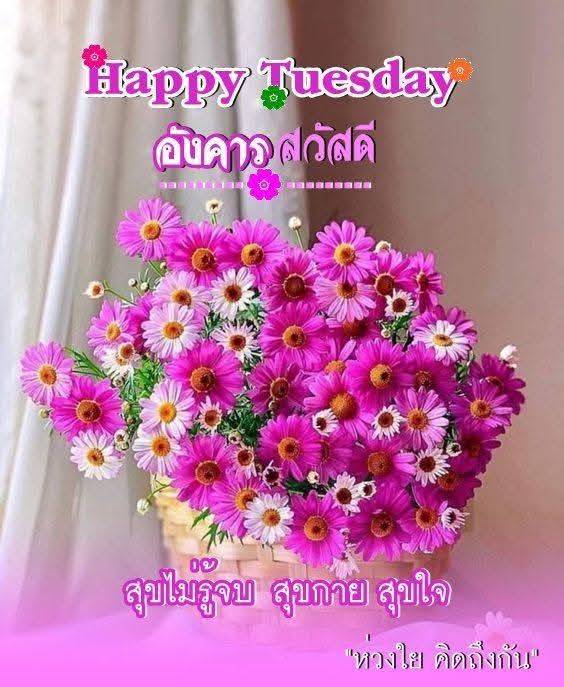 คุณ วันชัย เอกวงค์ tweet media