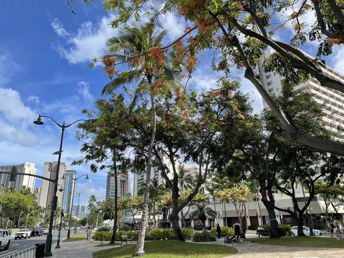 kaedefalls's tweet photo. ちょっと長めに頂いた休暇も終了☑️
帰国します。大好きなお買い物パンダにご挨拶。また来ます！ https://t.co/qOFgjFTKh0