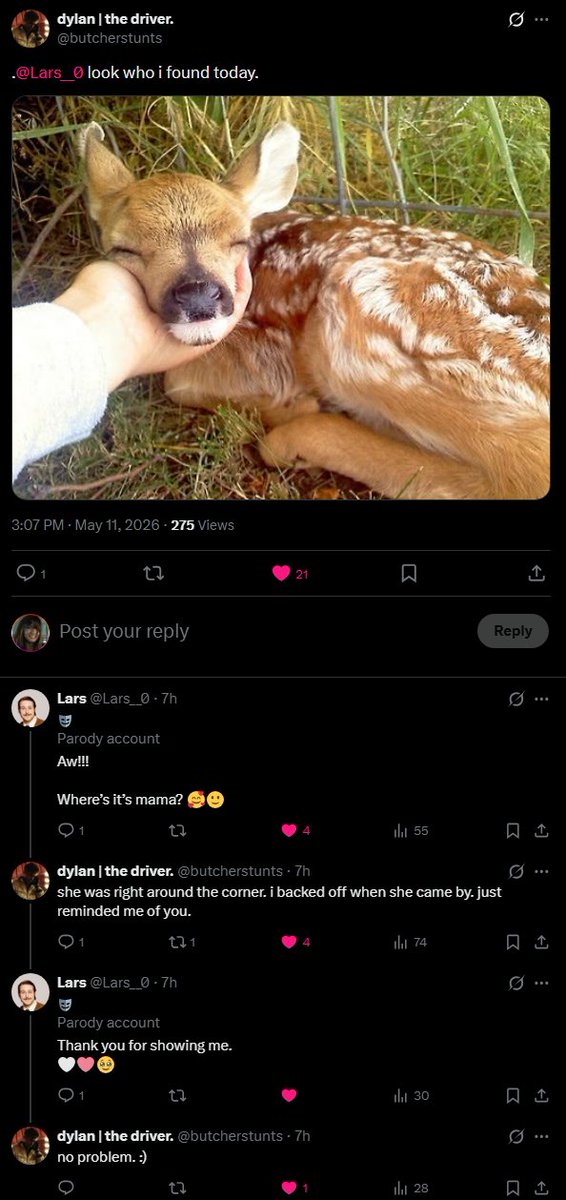 project hail bean! 🦊🧡🤍🩷 tweet media