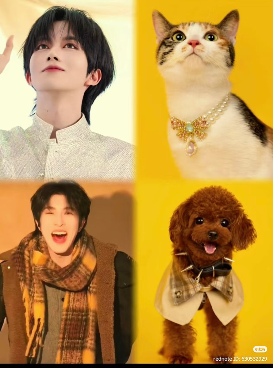 ♡𝗺𝗼𝗰𝗵𝗶⁷♡ tweet media