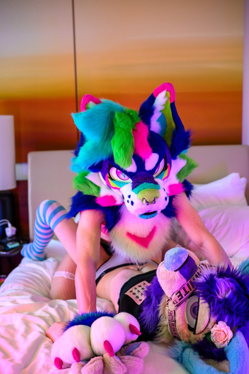 thewholeempire's tweet photo. Oh fuck oops sorry I tripped ahh how’d that slip in there so sorrgy oops gee gosh anyways can I keep going??

📸: me with a remote in my paw
⬇️ 🐶 : @shyatnight https://t.co/EFyc5HQOgF