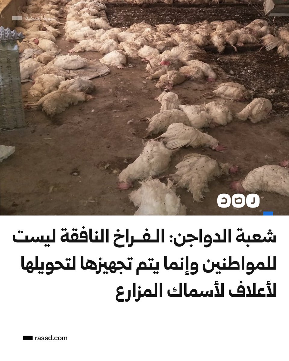 شبكة رصد tweet media