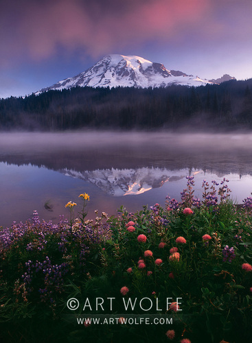 Art Wolfe tweet media