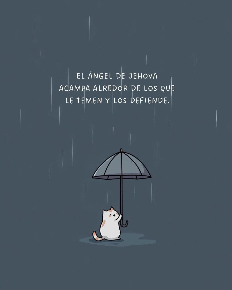 el Siervo (@elsiervo__) on Twitter photo 