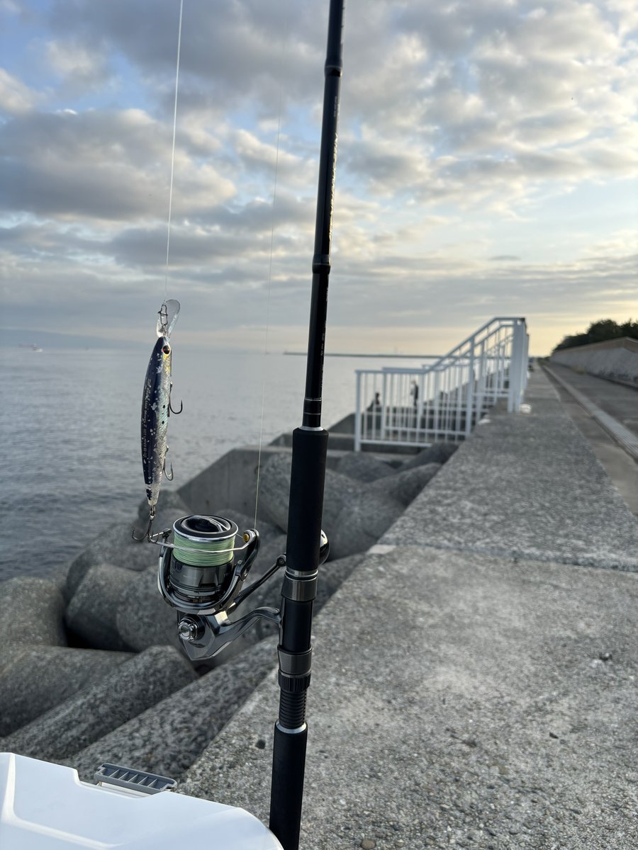 maple_fishing's tweet photo. 青物の気配全然ない🥲 https://t.co/QFYS7HaUUa