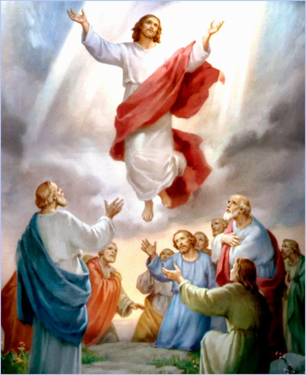 Santo do dia tweet media
