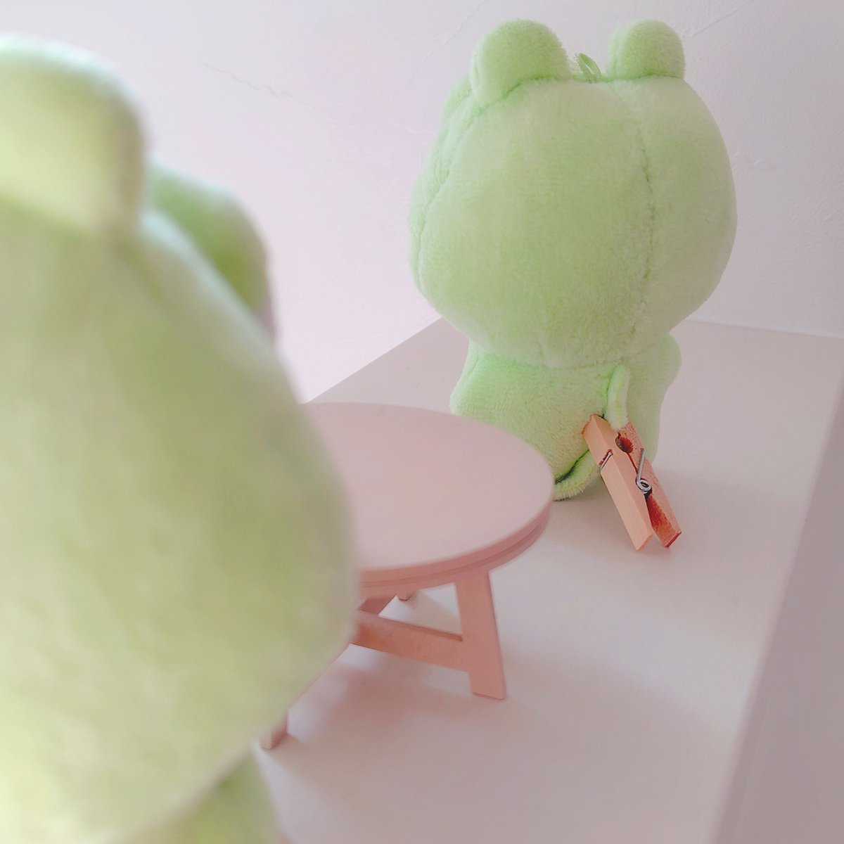 かのか🐊 tweet media