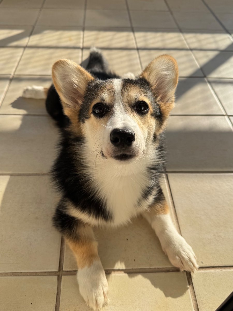 solpenarr's tweet photo. igual los entiendo si es hermosa!!! yo haría lo mismo https://t.co/DXjbkwoCXs
