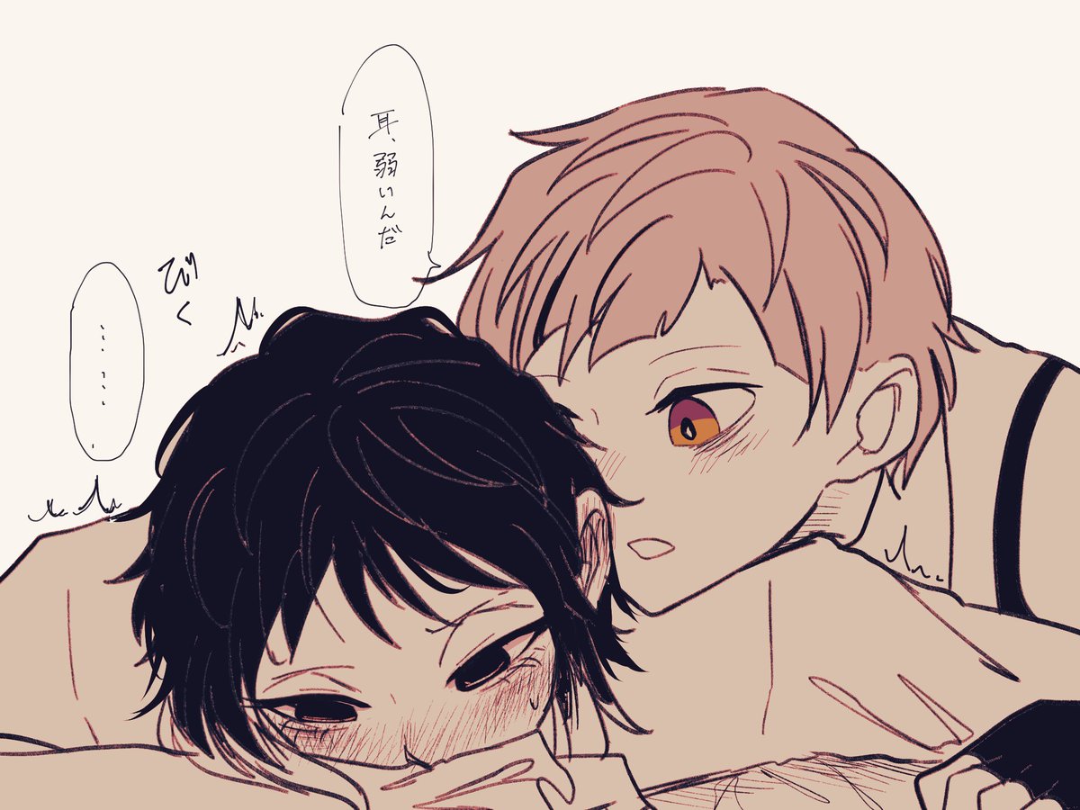 敦芥