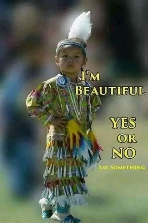 Native American Roots tweet media