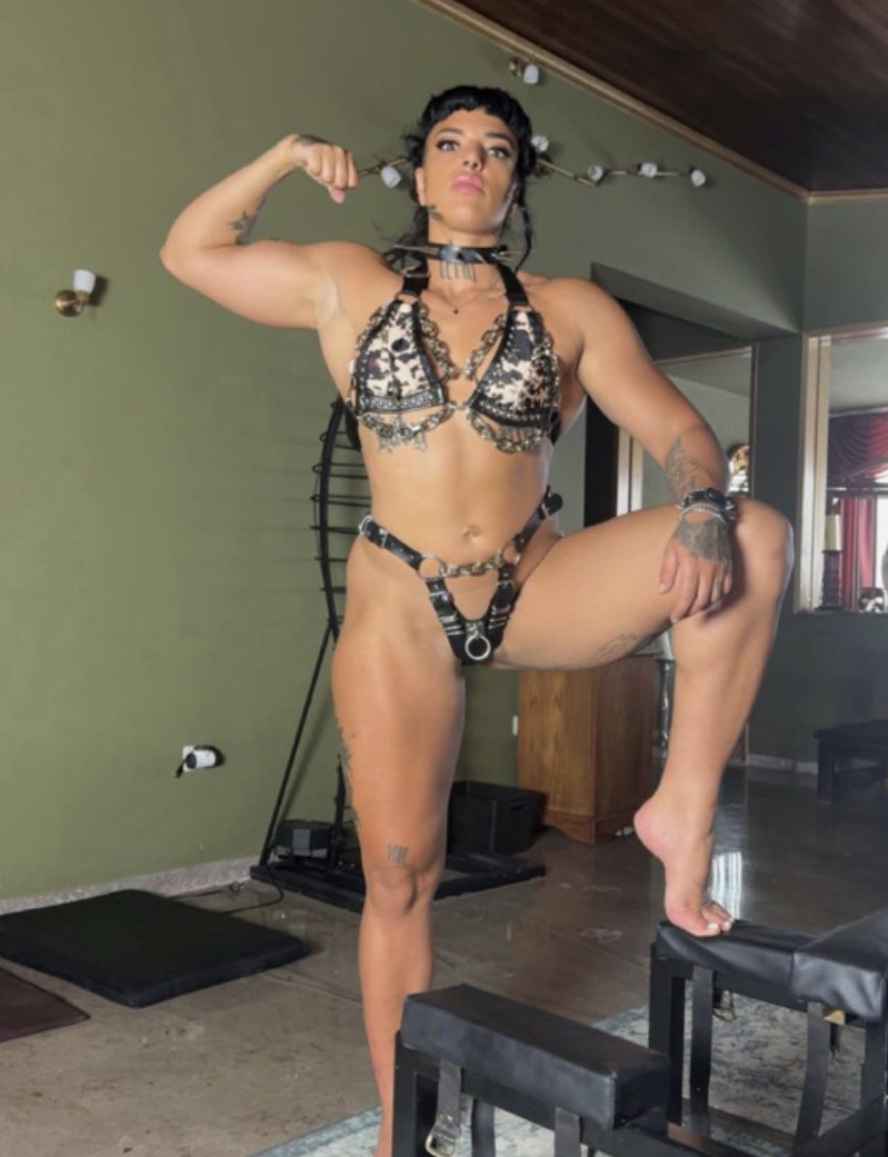 The Wrestling Palace tweet media
