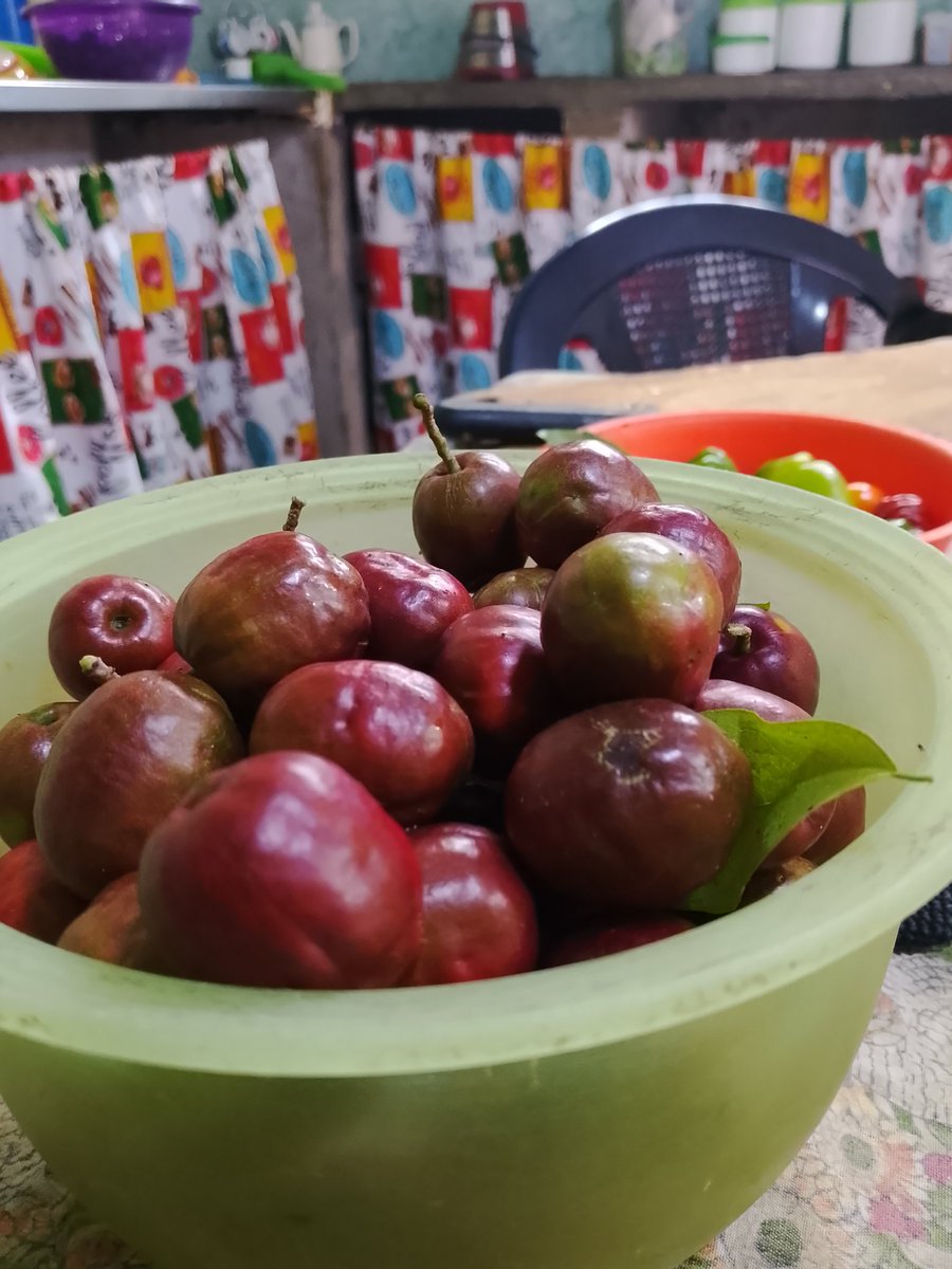 CarlosChakra0's tweet photo. Deliciosas https://t.co/BZvPQH9RD1