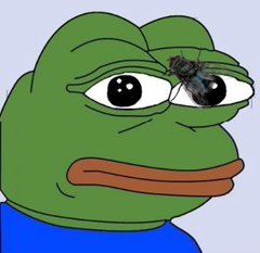 Spergler Acolyte tweet media