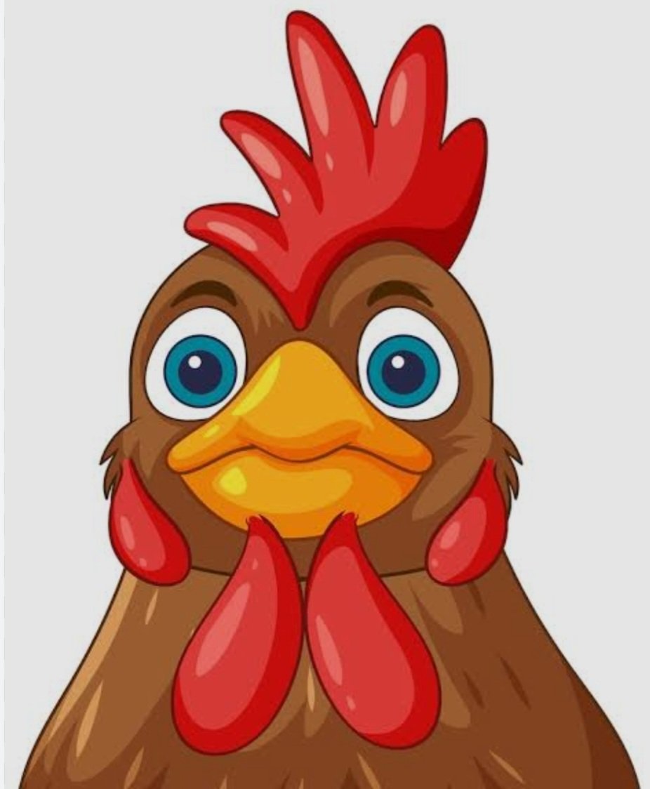 Leandro tweet media